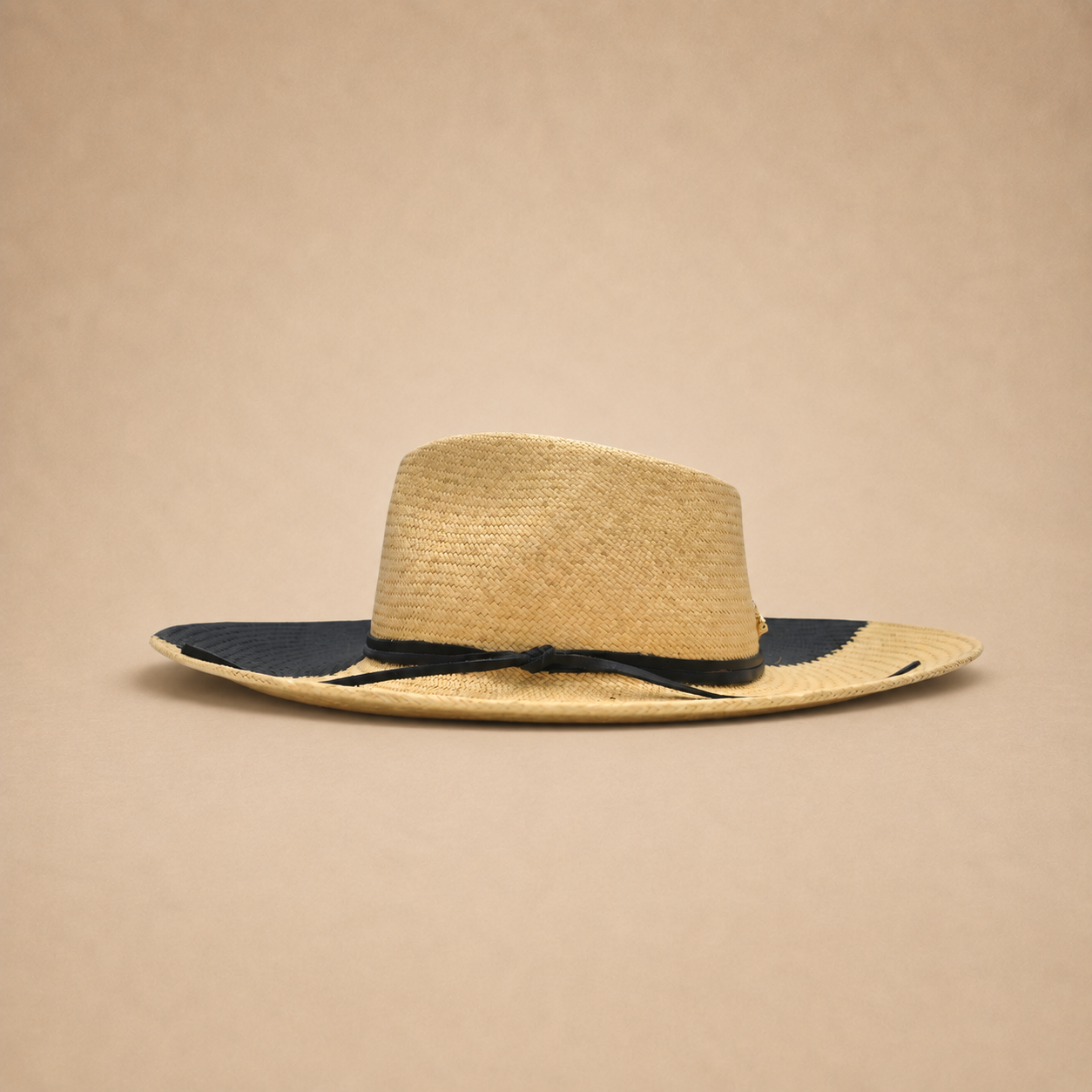 Dual Fedora